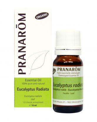 Eucalyptus Radiata Chemotyped Essential Oil