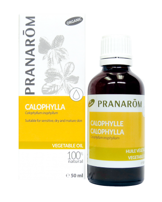 Calophylla Vegetable Oil Skin Care