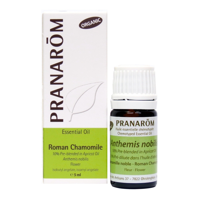 Roman Chamomile (10% pre-blended) Chemotyped Essential Oil