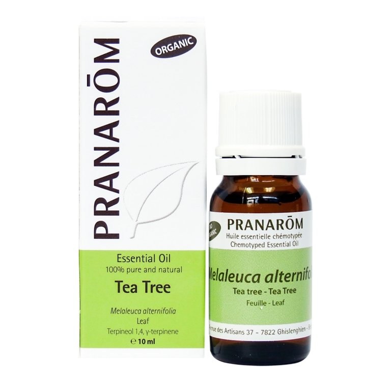 Tea Tree Chemotyped Essential Oil, Essential Oils for Dry Cough
