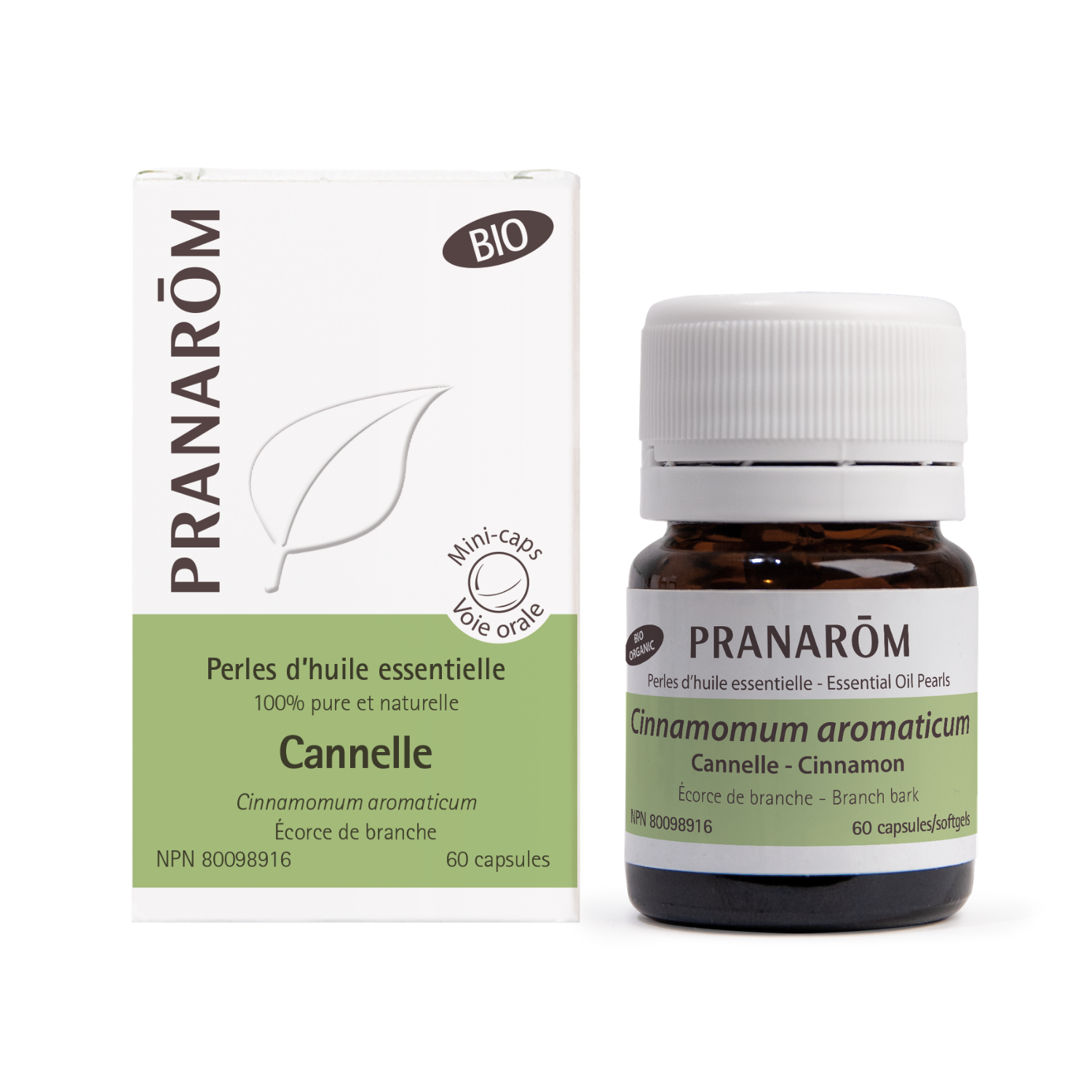 Cannelle perles d'huile essentielle - Pranarom