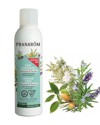 Spray Assainissant Ravintsara & Tea Tree + Eucalyptus